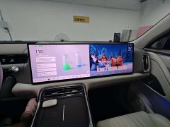 Geely Galaxy M9 230km Two-Wheel Drive Explorer Edition - ფოტო 14