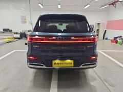 Geely Galaxy M9 230km Two-Wheel Drive Explorer Edition - ფოტო 8