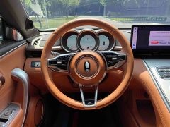 ORA Lightning Cat 2022 555km Deluxe Edition - ფოტო 17
