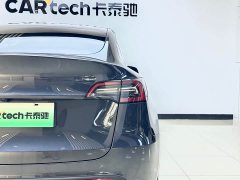 Tesla Model Y Rear-Wheel Drive - ფოტო 8
