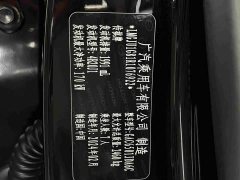 GAC Aion GS8 Pioneer Series 2.0T GDI FWD Luxury Smart Connected 7-Seater - ფოტო 11