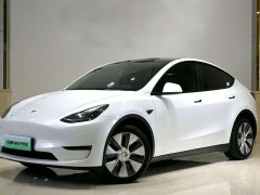 Tesla Model Y Long Range All-Wheel Drive - ფოტო 1