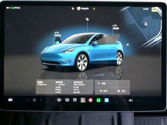 Tesla Model Y Long Range All-Wheel Drive - ფოტო 16