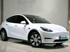 Tesla Model Y Long Range All-Wheel Drive - ფოტო 3