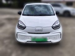 SAIC Colewey Corey Wei CLEVER 302km All-Purpose Edition - ფოტო 2