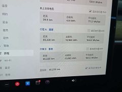 Tesla Model Y Rear-Wheel Drive - ფოტო 5