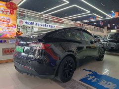 Tesla Model Y Rear-Wheel Drive - ფოტო 8