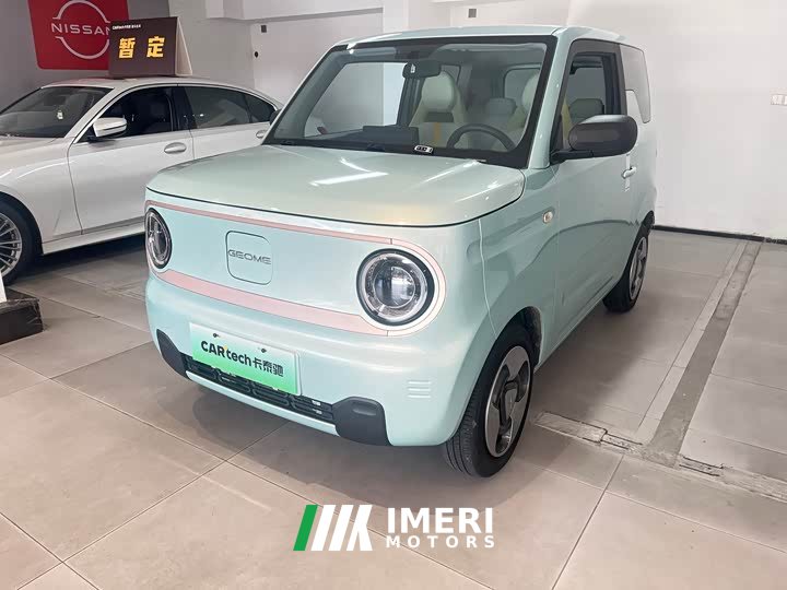 Geely Panda Mini New Spring Edition Treasure Bear
