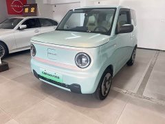 Geely Panda Mini New Spring Edition Treasure Bear - ფოტო 1