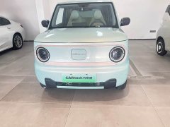 Geely Panda Mini New Spring Edition Treasure Bear - ფოტო 2