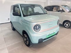 Geely Panda Mini New Spring Edition Treasure Bear - ფოტო 3
