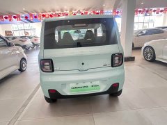 Geely Panda Mini New Spring Edition Treasure Bear - ფოტო 5