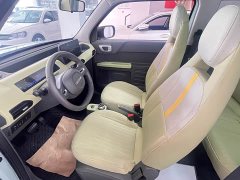 Geely Panda Mini New Spring Edition Treasure Bear - ფოტო 6