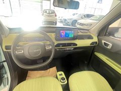 Geely Panda Mini New Spring Edition Treasure Bear - ფოტო 8