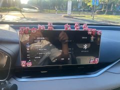 Geely Xingui Xingrui 2.0T Diesel Premium Edition - ფოტო 12