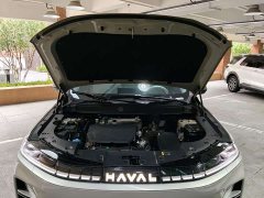 Haval Xiaolong MAX Hi4 165 Ultra Intelligent Driving Edition - ფოტო 18