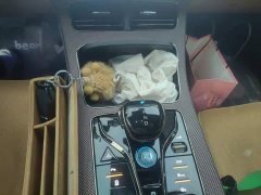 BYD Han DM-i 121KM Respect Edition - ფოტო 15