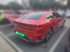 BYD Han DM-i 121KM Respect Edition - ფოტო 6