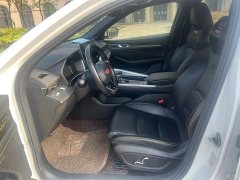 Geely Xingui Xingrui 1.5T Diesel Fuyao Edition - ფოტო 4