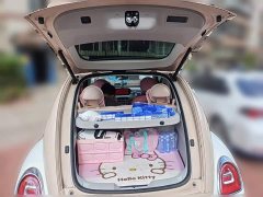 Ora Ballet Cat 2023 500km Deluxe Edition - ფოტო 15