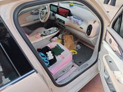 Ora Ballet Cat 2023 500km Deluxe Edition - ფოტო 19