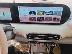 Ora Ballet Cat 2023 500km Deluxe Edition - ფოტო 20