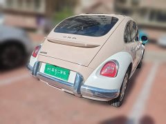 Ora Ballet Cat 2023 500km Deluxe Edition - ფოტო 4