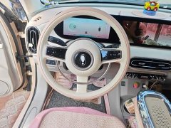 Ora Ballet Cat 2023 500km Deluxe Edition - ფოტო 6