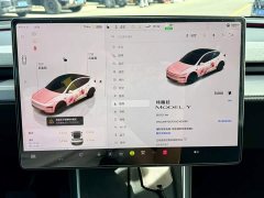 Tesla Model Y Rear-Wheel Drive - ფოტო 7