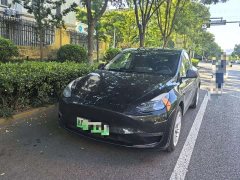 Tesla Model Y 2021 Standard Range RWD - ფოტო 1