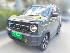 Geely Panda 210km Panda Knight - ფოტო 1