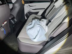 BYD Song Plus New Energy 2025 DM-i 160KM Flagship - ფოტო 13
