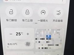 BYD Qin PLUS Champion Edition DM-i 120KM Leading - ფოტო 9
