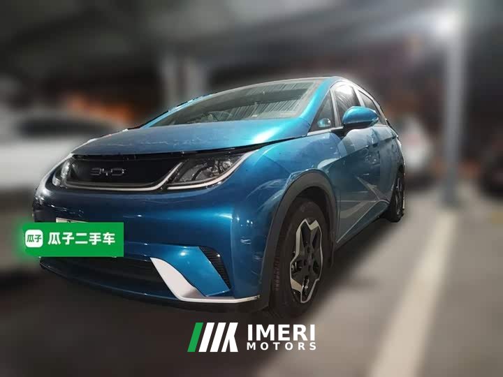 BYD Dolphin 405km Fashion Edition - ავტომობილი ჩინეთიდან