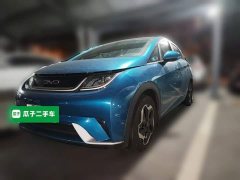 BYD Dolphin 405km Fashion Edition - ფოტო 1