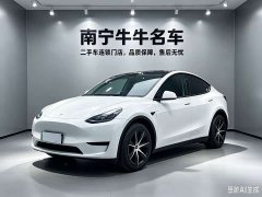 Tesla Model Y 2023 Rear-Wheel Drive - ფოტო 1