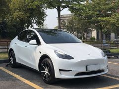 Tesla Model Y 2023 Rear-Wheel Drive - ფოტო 3