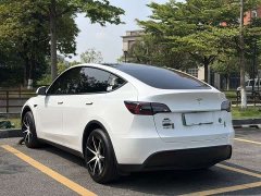Tesla Model Y 2023 Rear-Wheel Drive - ფოტო 6