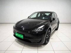Tesla Model Y 2021 Performance All-Wheel Drive - ფოტო 1