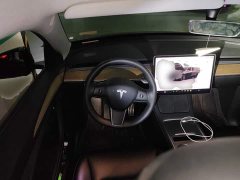 Tesla Model Y 2021 Performance All-Wheel Drive - ფოტო 11
