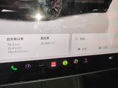 Tesla Model Y 2021 Performance All-Wheel Drive - ფოტო 13