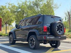 Tank 300 New Energy 2025 Hi4-T 37.1kWh - ფოტო 6