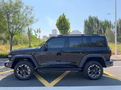 Tank 300 New Energy 2025 Hi4-T 37.1kWh - ფოტო 8