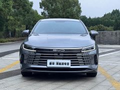 BYD Destroyer 05 Glory Edition DM-i 55KM Luxury - ფოტო 2