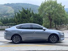 BYD Destroyer 05 Glory Edition DM-i 55KM Luxury - ფოტო 3