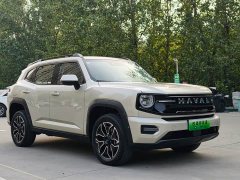 Haval Big Dog PLUS New Energy 2026 Hi4 150km Trendy EV Edition - ფოტო 4