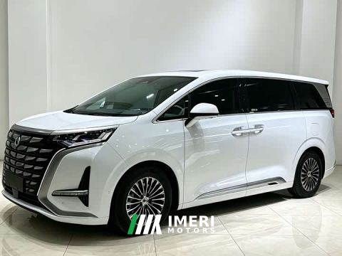 2023 Denza D9 DM-i 970 AWD Flagship