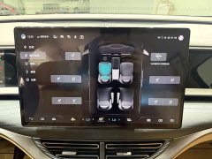 Denza D9 2022 DM-i 970 AWD Flagship - ფოტო 16