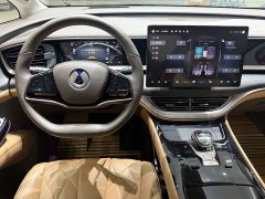 Denza D9 2022 DM-i 970 AWD Flagship - ფოტო 9