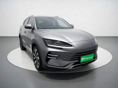 BYD Song Plus New Energy DM-i 71km Luxury - ფოტო 3